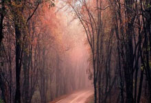 2023-2024賽季歐聯杯賽程表.