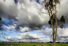 Ag旗舰厅官网:阿森納與英超聯賽:只接受延遲賽事 並不接受提前開球的要求.