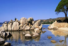 Ag旗舰厅官网：[乒乓球]亚洲杯小组赛第3轮：徐孝元VS杜凯琹.